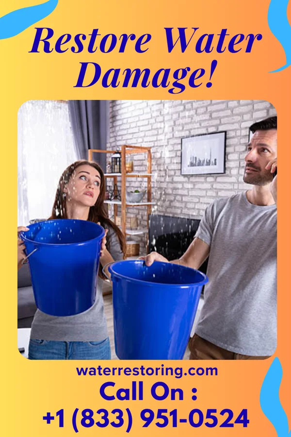 water restoration Direct Disaster Recovery Wisner