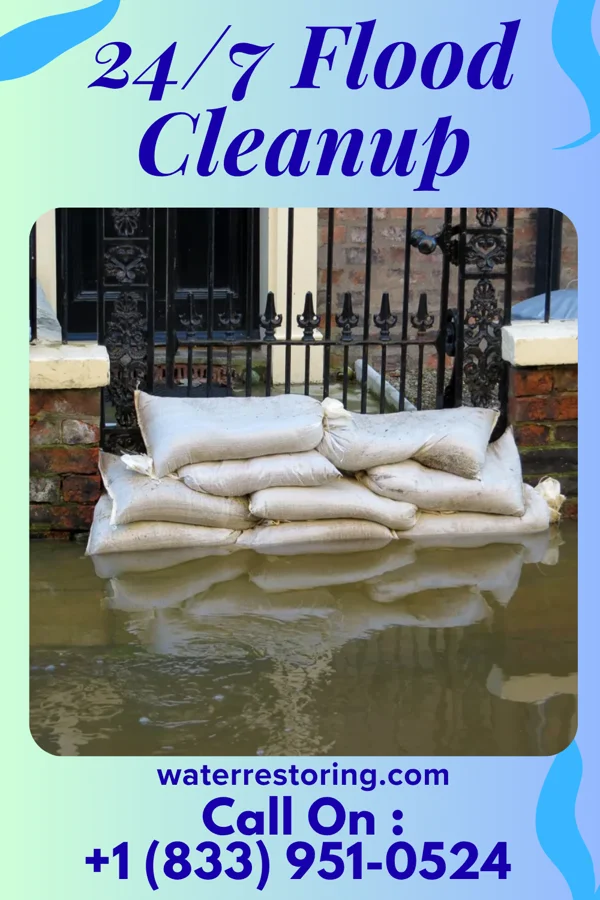 24/7 Flood Cleanup in Wisner, NE