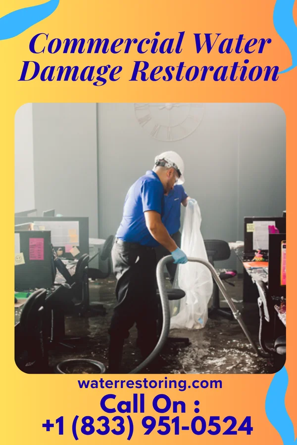 Commercial Water Damage Restoration in Wisner, NE