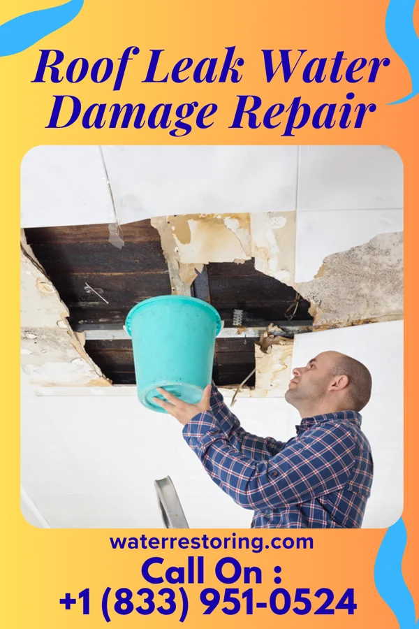 Roof Leak Water Damage Repair in Wisner, NE