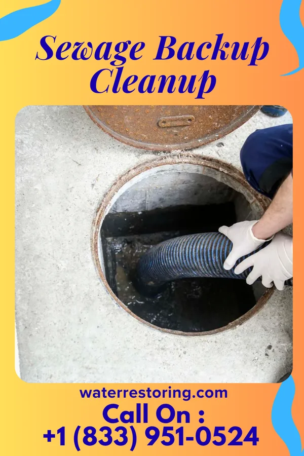 Sewage Backup Cleanup in Wisner, NE